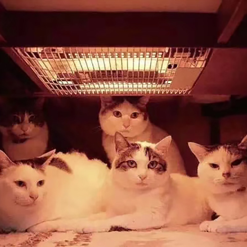 Kitchen Appliances In Japanese - Eletrodomésticos de cozinha para uso doméstico